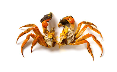 top view cooked crab with the lid opened on a white background