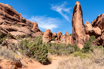Desert landscape - Arches National Park