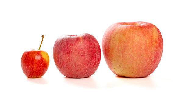 small and medicum and big size apples on a white background