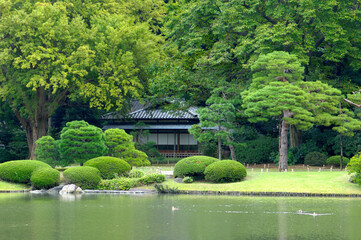 Obraz premium 日本庭園