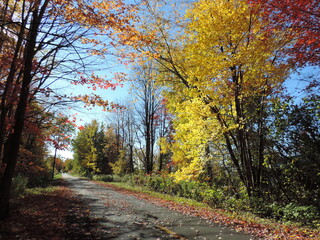 Fototapeta premium Beautés automnales