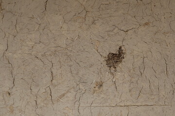 土壁 塗り壁 背景 バックグラウンド グラフィック