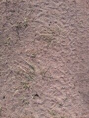 soil in the ground