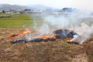 田んぼでわらを焼く風景