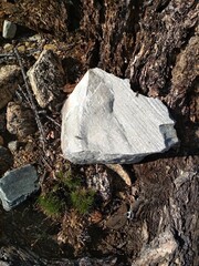 stone in the woods