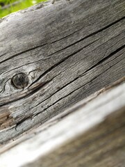 old wood texture