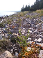 Stone shore of Lake Baikal