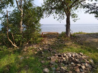 Bench under a tree on the shore of Lake Baikal