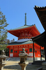 早春の根本大塔