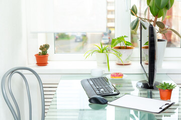 Computer on a glass table near a window with indoor plants. Home office, distance learning, remote work.