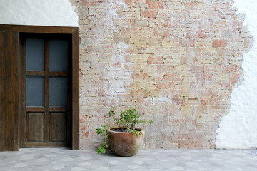 Fototapeta na wymiar view of wooden door and rustic brick wall and plant in clay pot