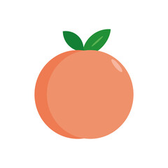 peach in vector flat isolated on white. fruit, card, sticker, icon, poster