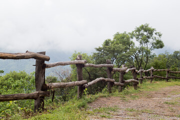 Amanecer en la sierra de quila jalisco con neblina 