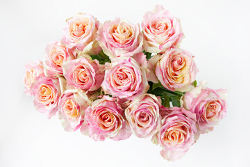 バラ(チェリーブランディー)