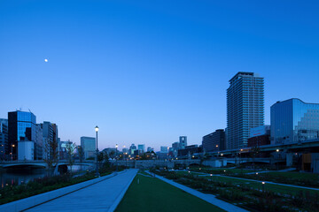 大阪中之島公園の夜明け