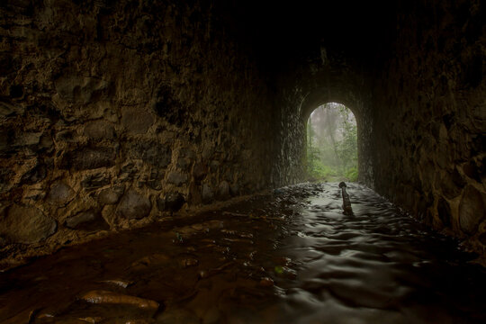 Amanecer en la sierra de quila jalisco con neblina toma desde el arrollo 
