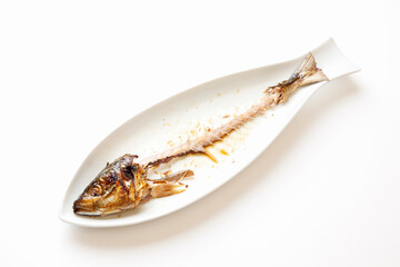 奇麗に食された魚