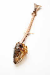 奇麗に食された魚
