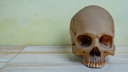 human skull on wood table for sci or medical content.