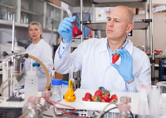 Fototapeta na wymiar Professional geneticist working in laboratory, conducting experiments with genetically modified fruits and vegetables