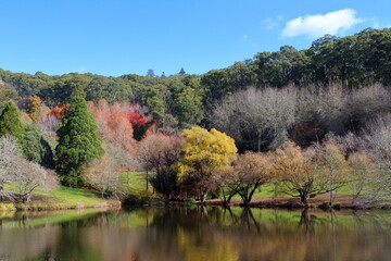 Mount Lofty Botanic Garden in Adelaide