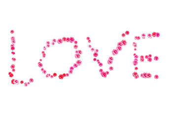 LOVE written in sweet beautiful pink color of roses on white background for love, wedding, marriage and Valentine’s day. Cute decoration and for making card or poster