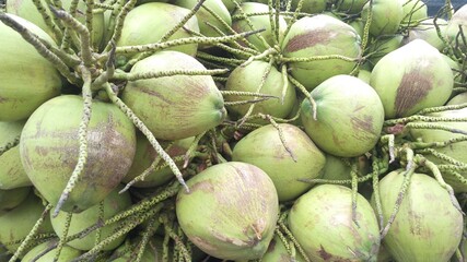 Many green coconuts were put together.

