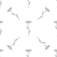 Daisy flowers seamless pattern. Small hand drawn daisies, black elements on white background. Cute vector design for floral texture, banner, wallpaper, wrapping paper, scrapbooking, textile print.