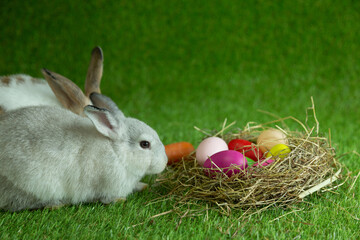 Little Bunny in green grass with Decorated Eggs. Easter Holyday Concept.