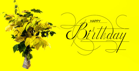 postcard , Internet banner , flat lay with a birthday greeting, with the inscription - happy...