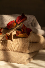 Composition of orange-red autumn leaves and warm woolen beige and gray sweaters in the rays of the morning autumn sun
