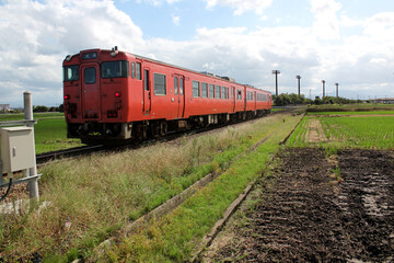田んぼ道を颯爽と走るオレンジのレトロな電車