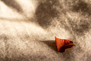 Fototapeta na wymiar Composition of orange-red autumn leaves and warm woolen beige and gray sweaters in the rays of the morning autumn sun