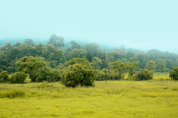 Rain in an indian village, Green Nature