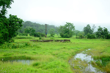 Fototapeta na wymiar Rain in an indian village, Green Nature