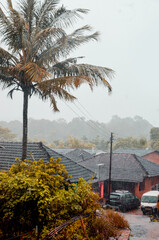 Fototapeta na wymiar Heavy raining in an indian village