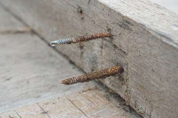 rusty nail in obsolete wood plank