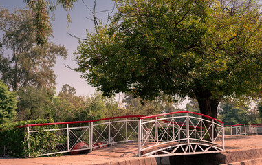 a bridge in park beside a lush green tree
