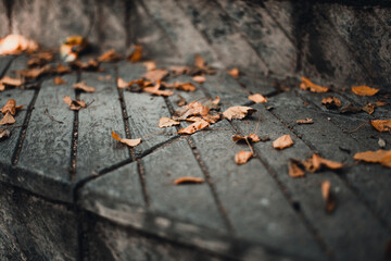  Stairs with falling autumn leaves on it