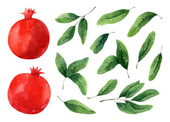 Set of juicy red pomegranates and green leaves isolated on white background. Watercolor hand-drawn illustration. Perfect for your project, cards, prints, covers, menu, patterns, logo, decor. - obrazy, fototapety, plakaty