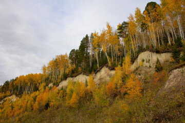 Fototapeta premium The tree-covered hills are golden. Autumn landscape in a hilly area
