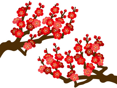 398 Best 梅の枝 Images Stock Photos Vectors Adobe Stock
