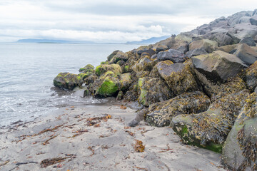 Sea algae on stone protection wave.