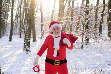 Santa Claus walking to the winter forest with a bag of gifts, snow landscape. Happy New Year. Christmas time with snow.
