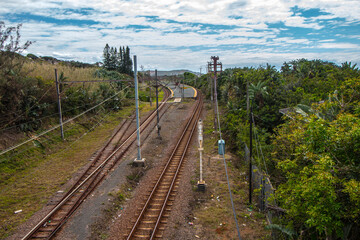 Fototapeta na wymiar Railway Tracks Surrounded by Green Vegetation in Rural Setting