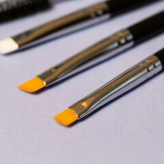 Set of makeup brushes on the table