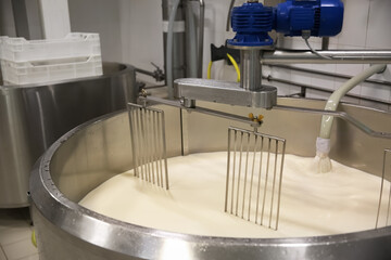 Pouring milk into curd preparation tank at cheese factory