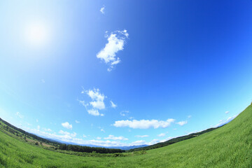 Obraz premium 草原と青空