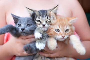 Teenage girl holding three kittens in her arms