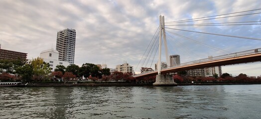 Japanese River Bridge